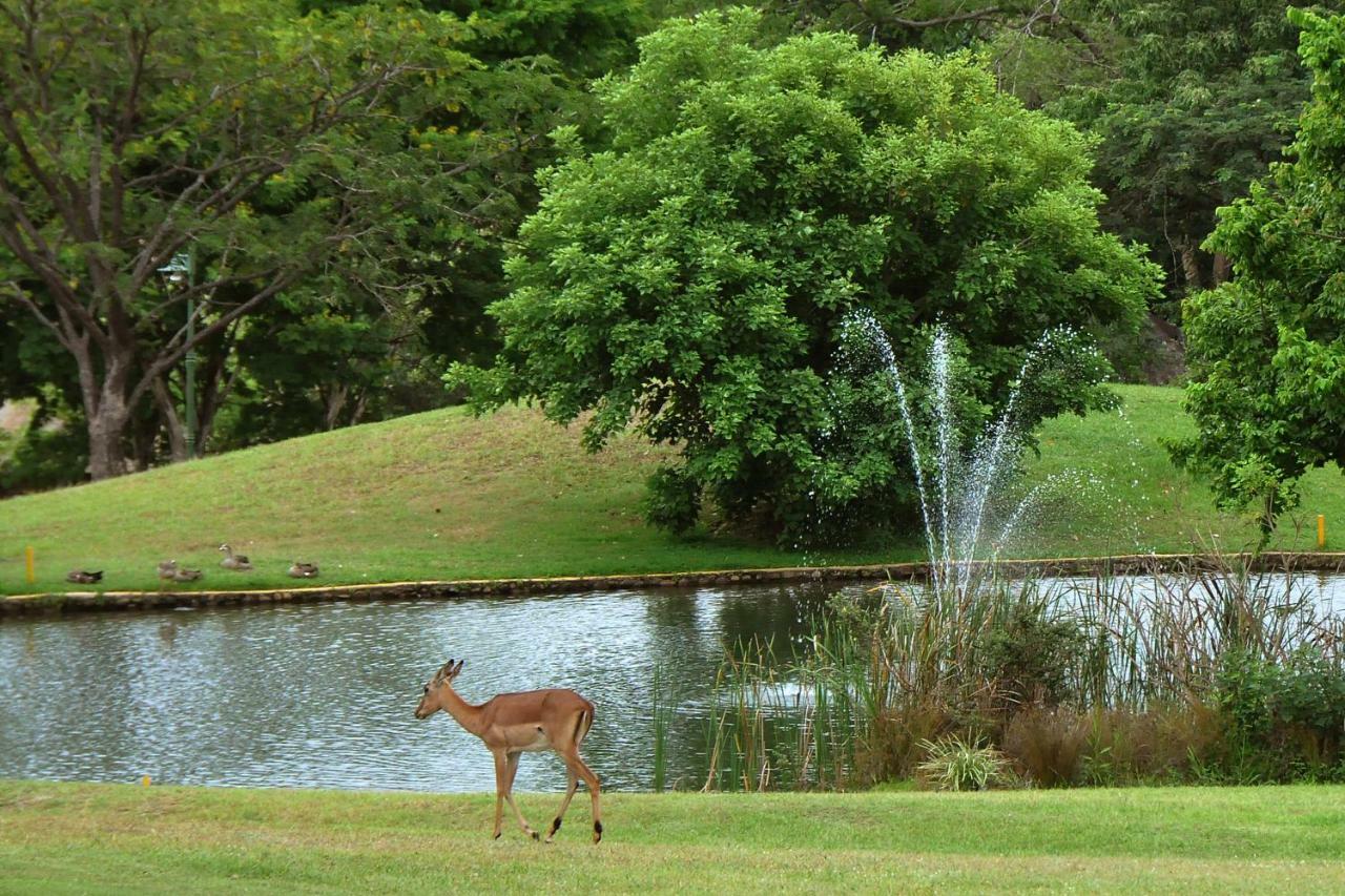 Kruger Park Lodge Unit No. 612 Hazyview Kültér fotó